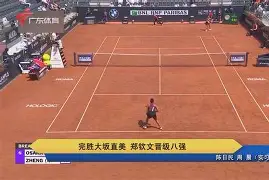 雷速-TL教练压力巨大！，大坂直美遭遇二十持续失利引发球迷热议的简单介绍